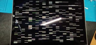 WhatsApp Image 2020-04-27 at 12.19.09.jpeg