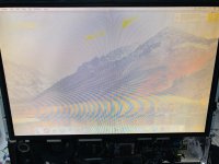 WhatsApp Image 2021-02-05 at 16.22.22.jpeg