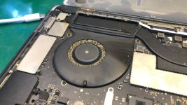 WhatsApp Image 2022-09-05 at 16.27.41.jpeg